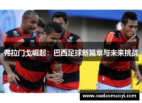 弗拉门戈崛起：巴西足球新篇章与未来挑战